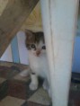 /album/fenykepgaleria/a11303725-494063420741973-1087257939-n-jpg/