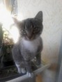 /album/fenykepgaleria/a11200933-479344892213826-4583913878006484589-o-jpg/