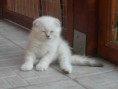 /album/fenykepgaleria/deeeeeeeeeeeeeeeeeeeeeee-jpg/