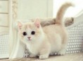 /album/fenykepgaleria/eddededeeedede-jpg/