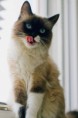 /album/fenykepgaleria/hhhhmmmm-jpg/