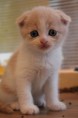 /album/fenykepgaleria/jujjjjjjjjjjjjjjjjjjjjjjjjjjjjjjjjjjjjjjjjjjjjjjjjjjjjjjjj-jpg/