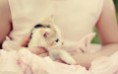 /album/fenykepgaleria/a36604-jpg/