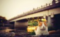 /album/fenykepgaleria/a4-jpg/