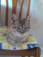 /album/fenykepgaleria/a11267644-438035323035178-1703966422-n-jpg/