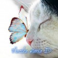 /album/fenykepgaleria/pizap-com14387564339841-jpg/