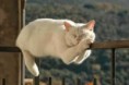 /album/fenykepgaleria/sleeping-7-jpg/